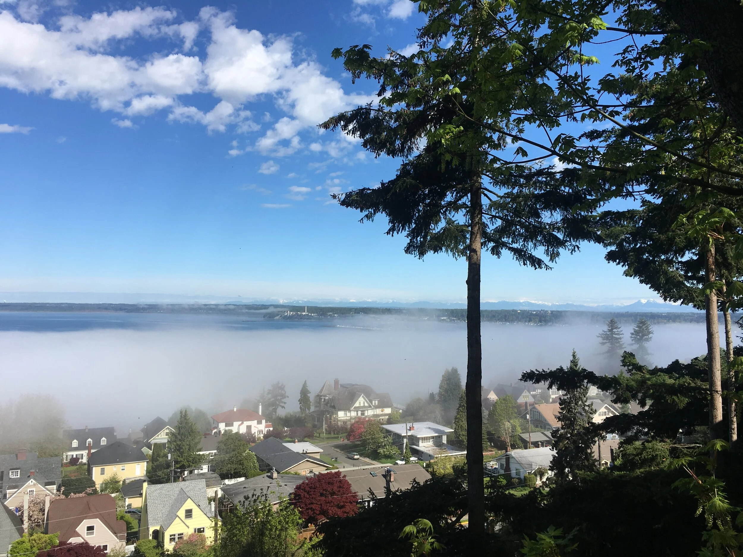 Neighborhood Spotlight South Hill in Bellingham, WA — Krista Kenner