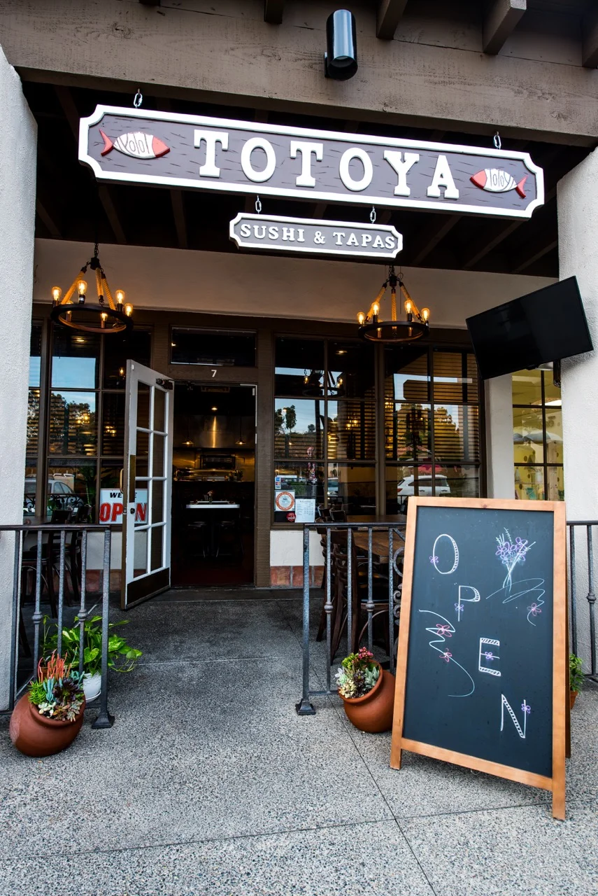 Gallery  Totoya