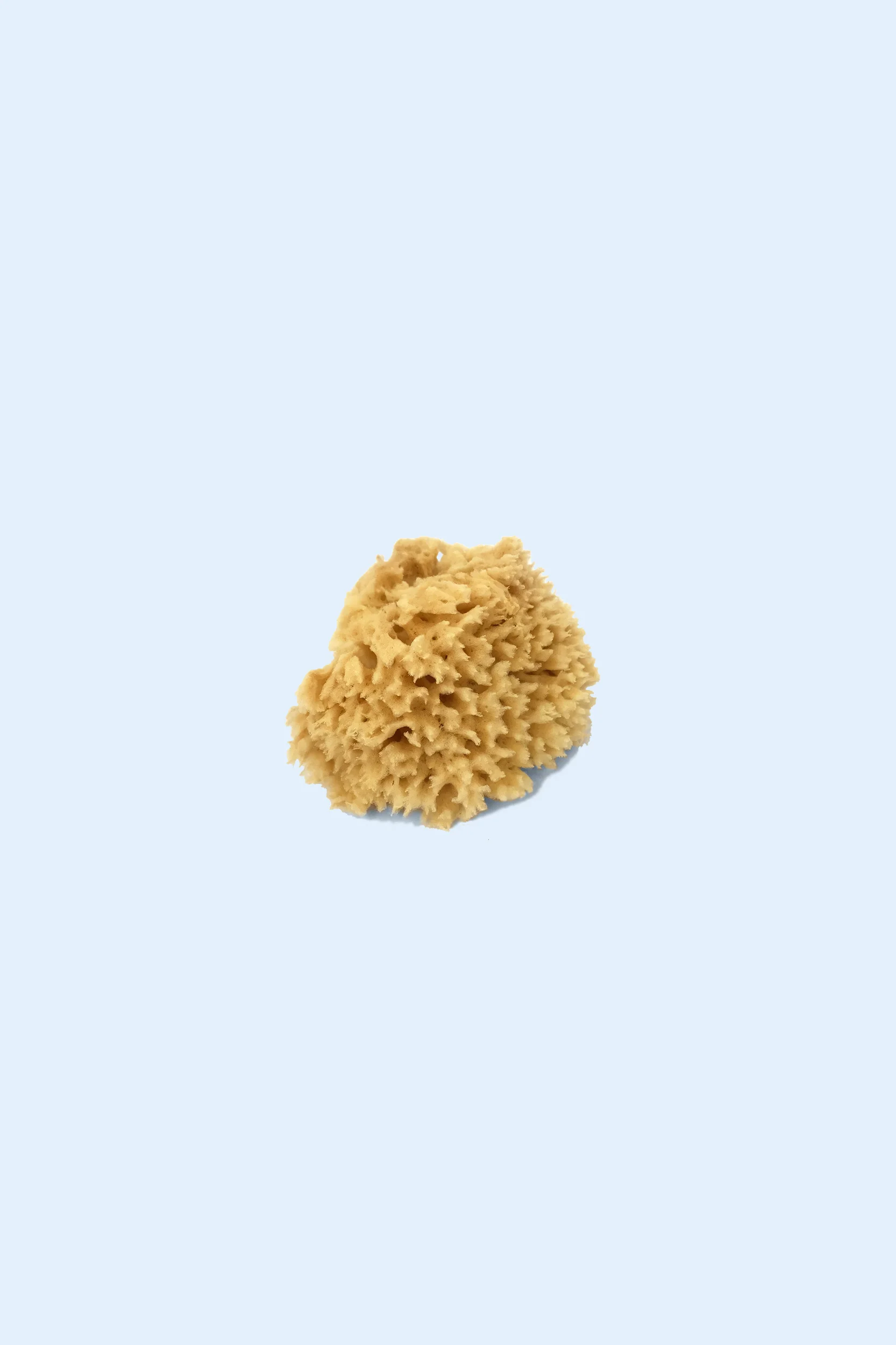 Natural Sea Wool Sponge