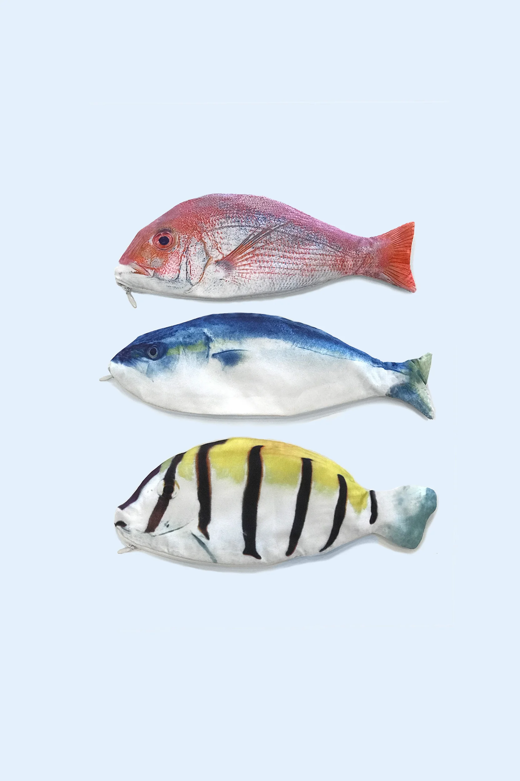 Fish Pencil Case