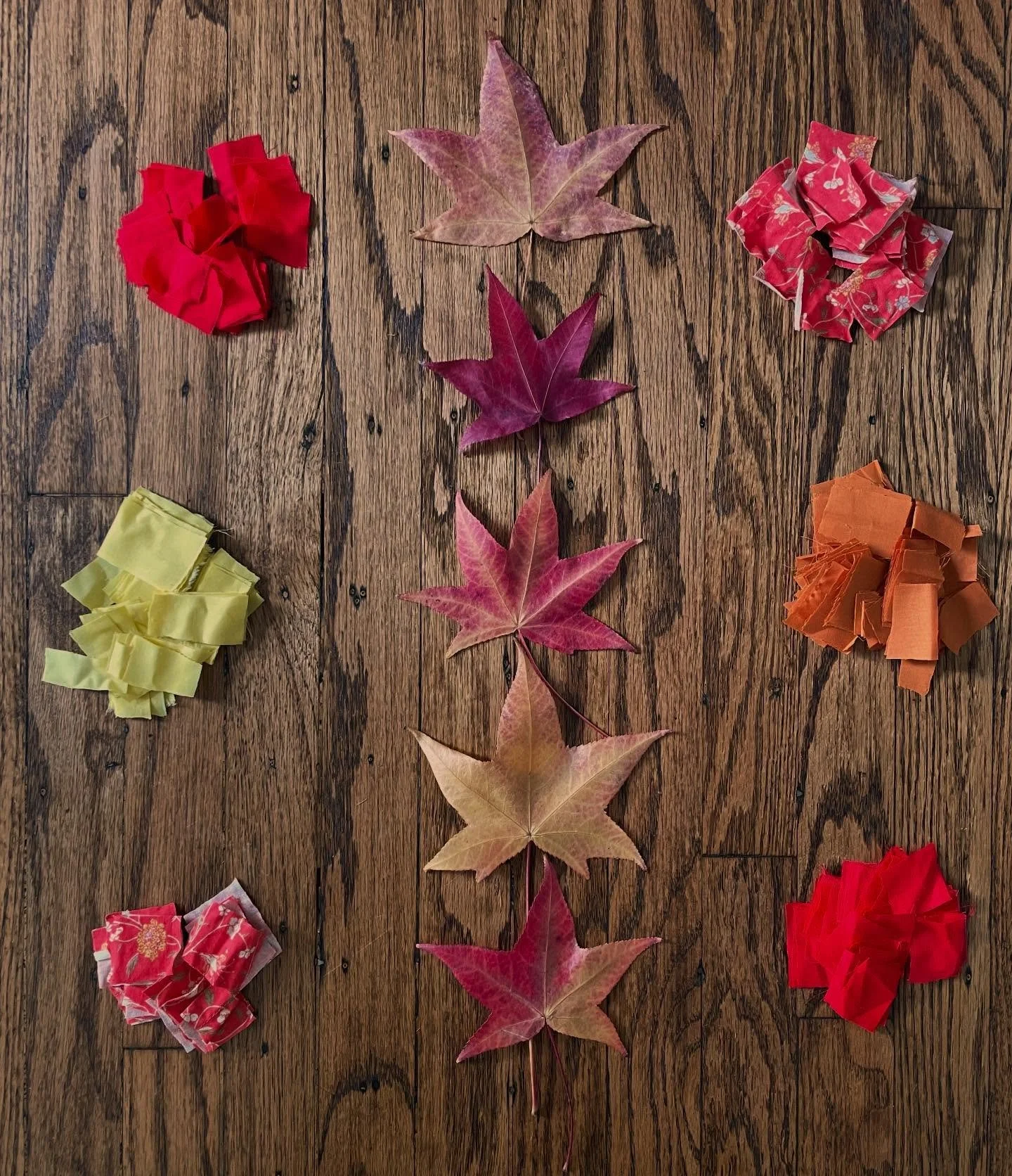 Full-on Fall🍁🧡