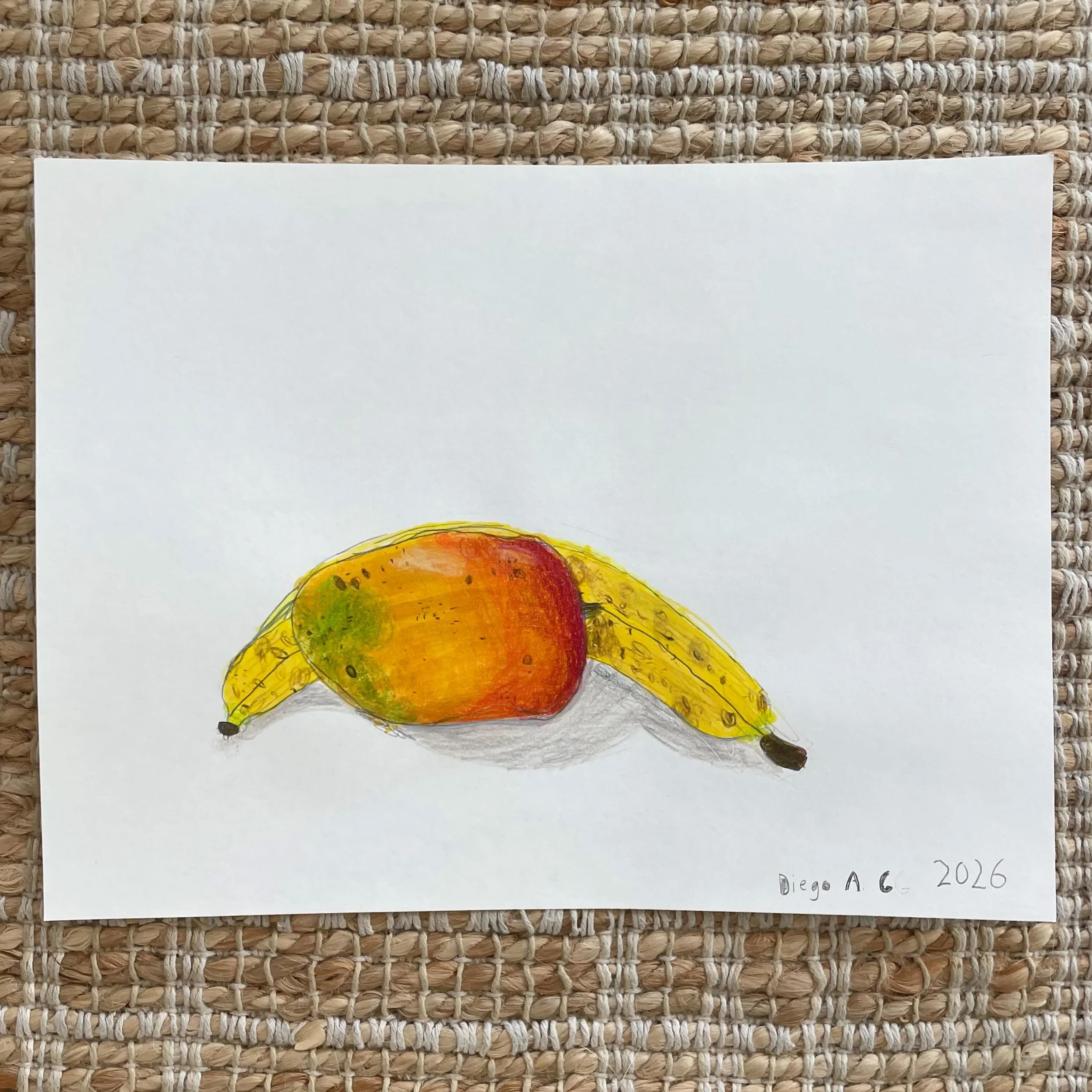 Tropical tastiness 🥭🍌 

Mangoes and bananas in coloring pencil and marker by Diego and Camila, ages 7 and 9