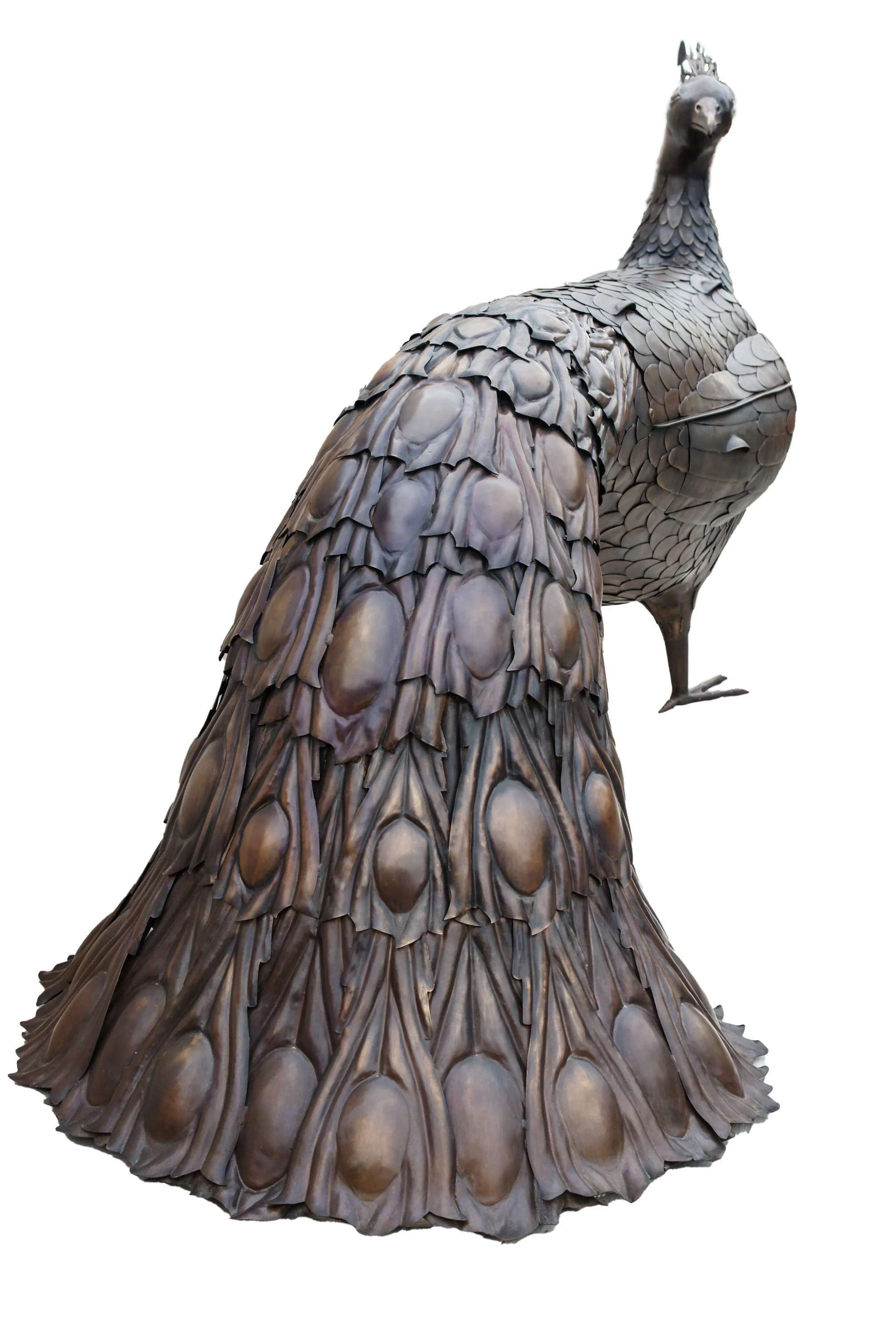 Peacock Bar - Feathers