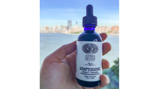 The Adaptogenic Tonic from Anima Mundi Herbals in front of the New York City skyline.