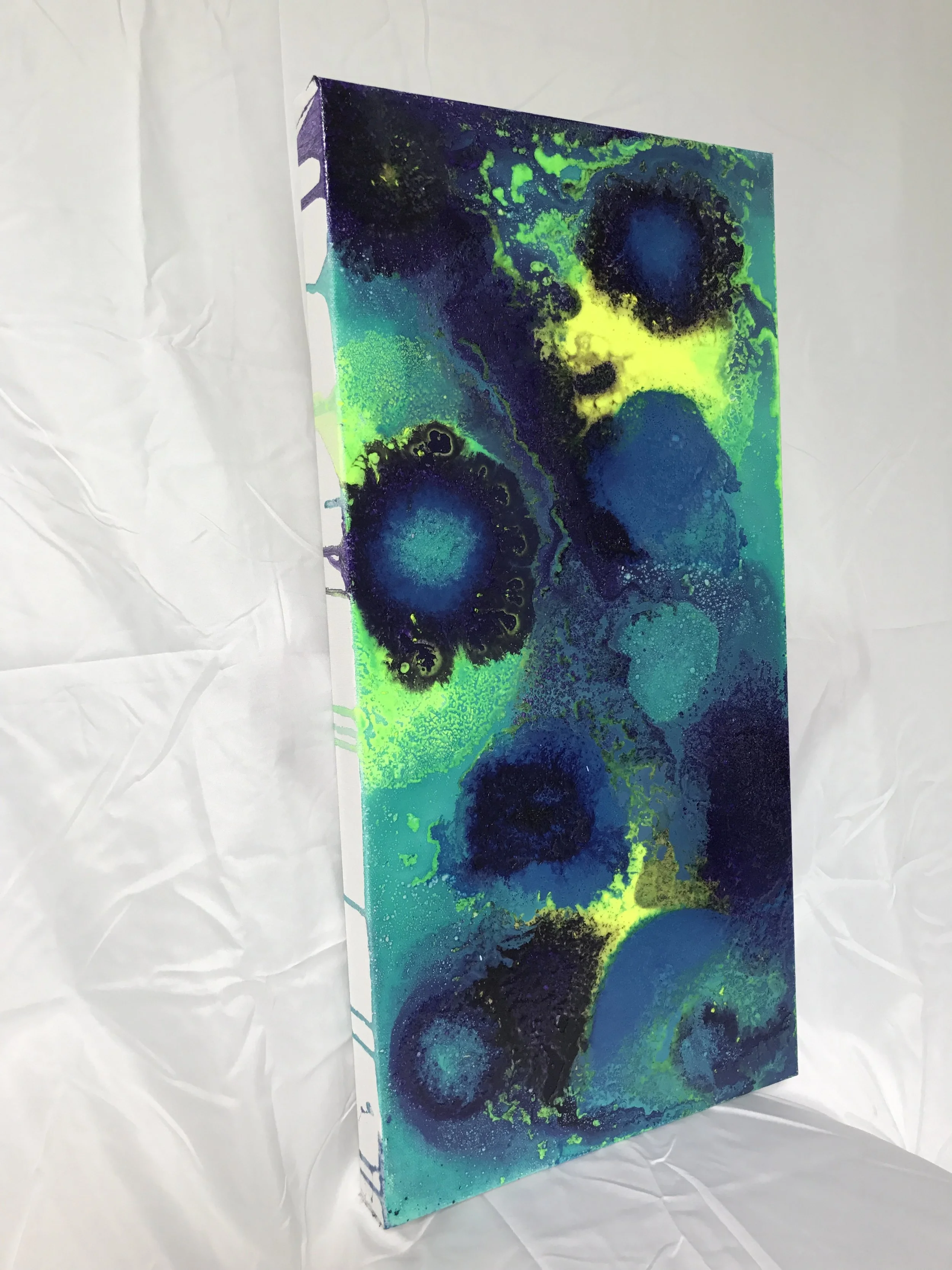 Jellyfish