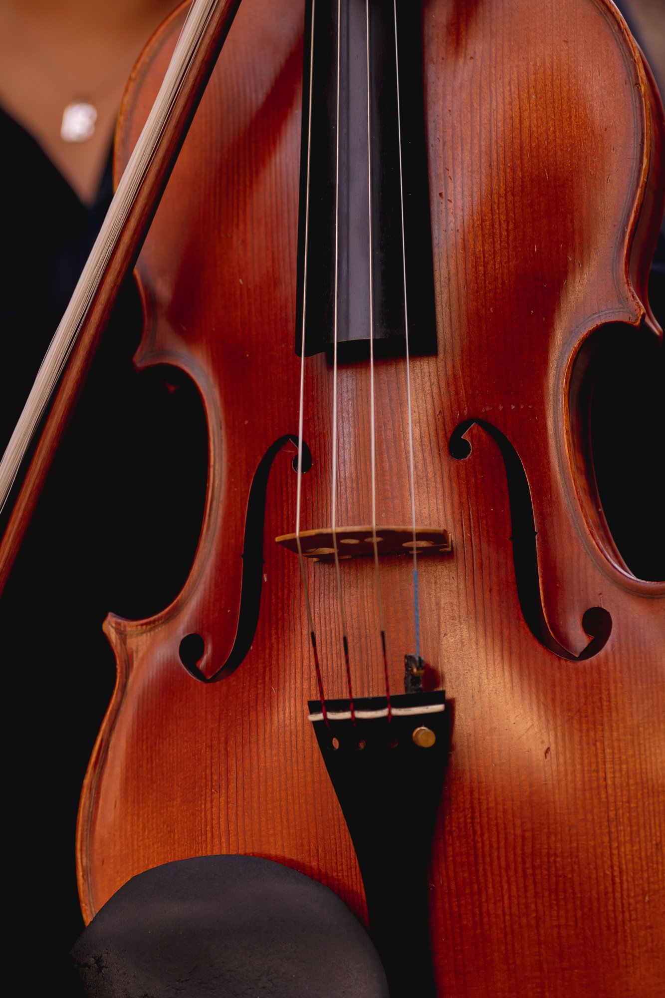 Knox Courtyard Strings Trio (36 of 61).jpg