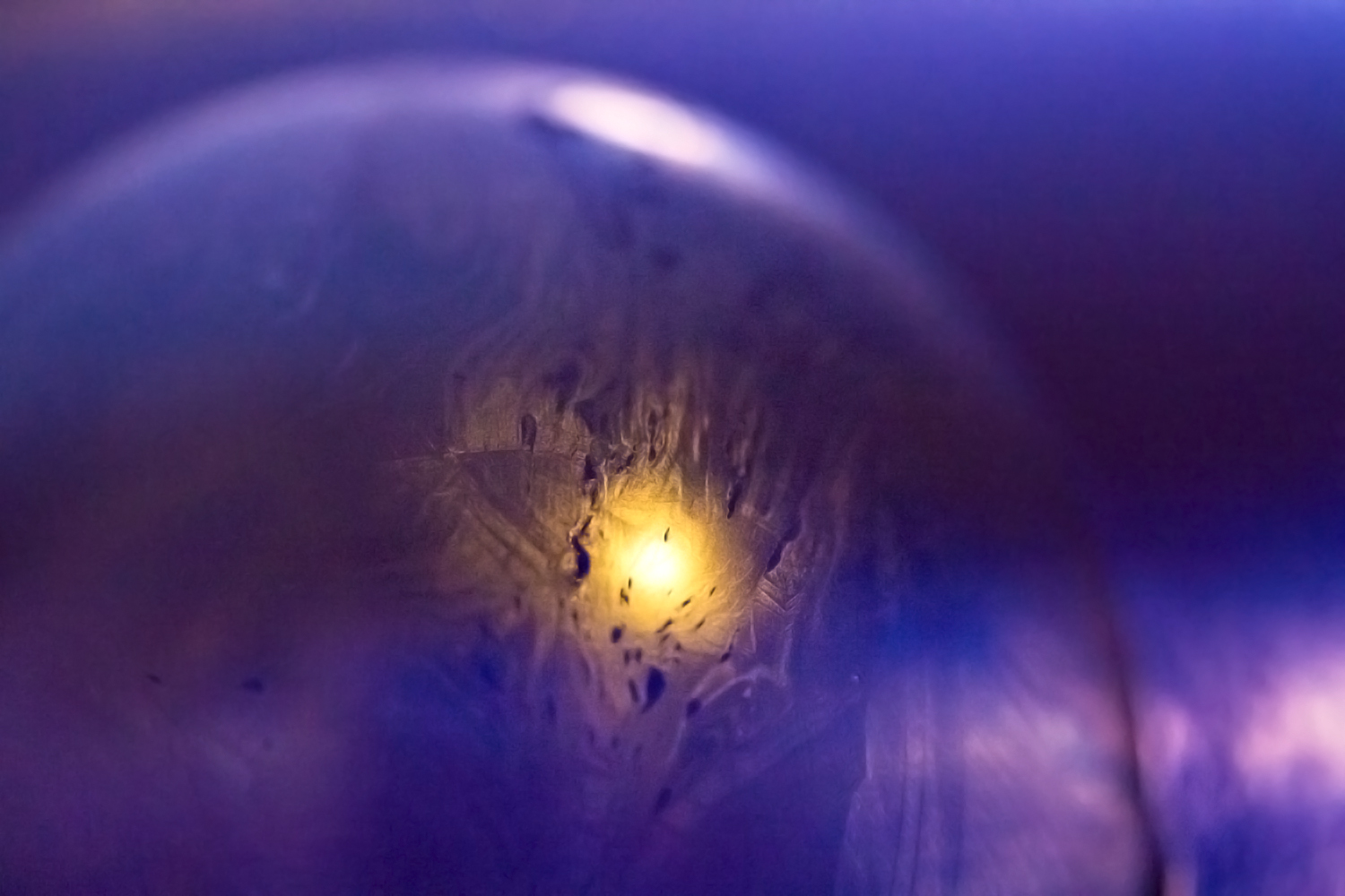 Denver childrens photographer paint sessions winter kids activity freezing bubbles