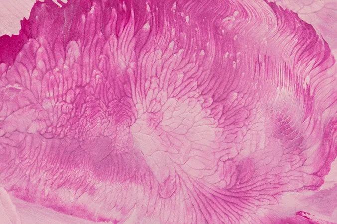 A macro photo taken after a kids paint session. These photos are blown up to make large contemporary art pieces for display.