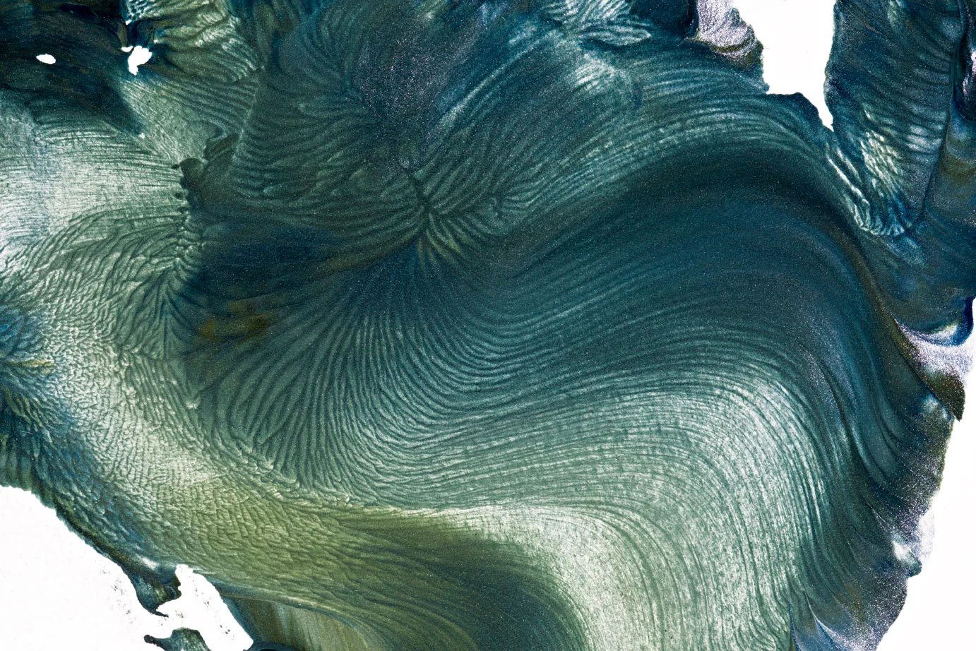 A macro photo taken after a kids paint session. These photos are blown up to make large contemporary art pieces for display.