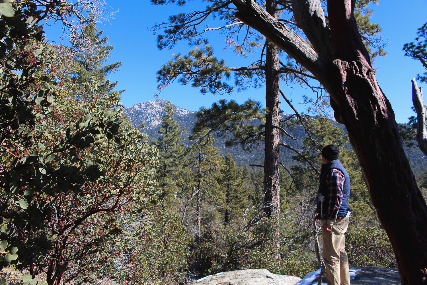 Idyllwild, California