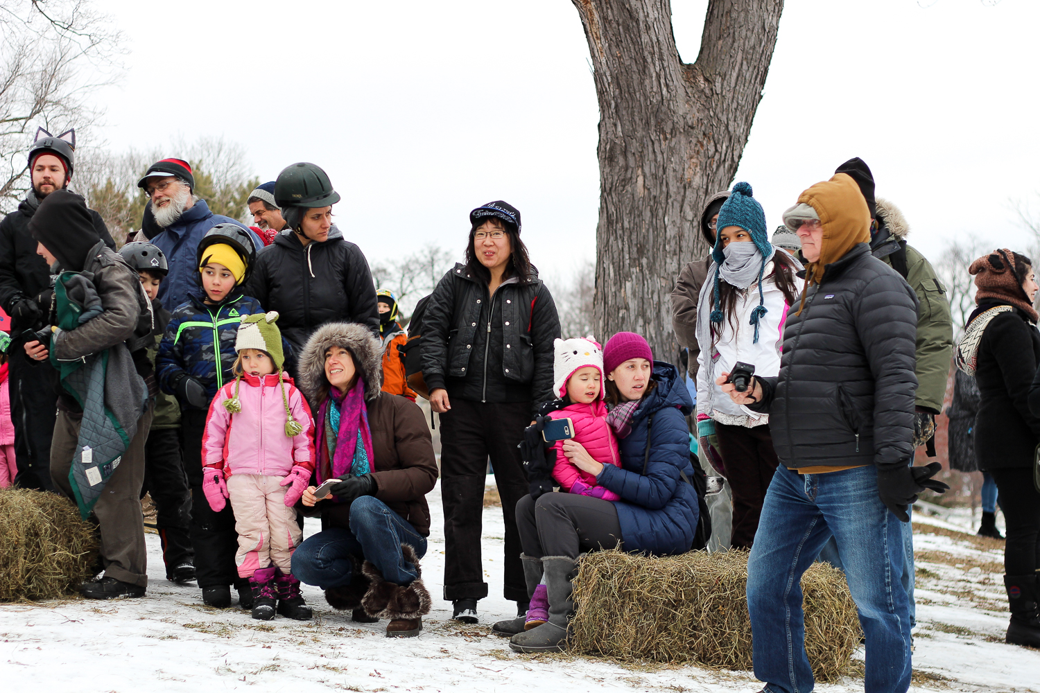 Art Sled and Pond Hockey-3709.jpg