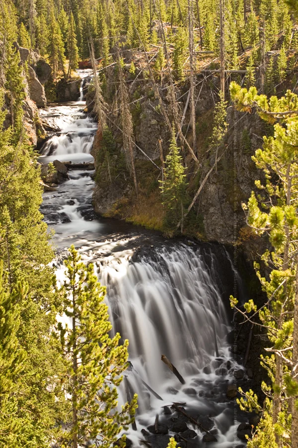 yellowstoneandtetons010