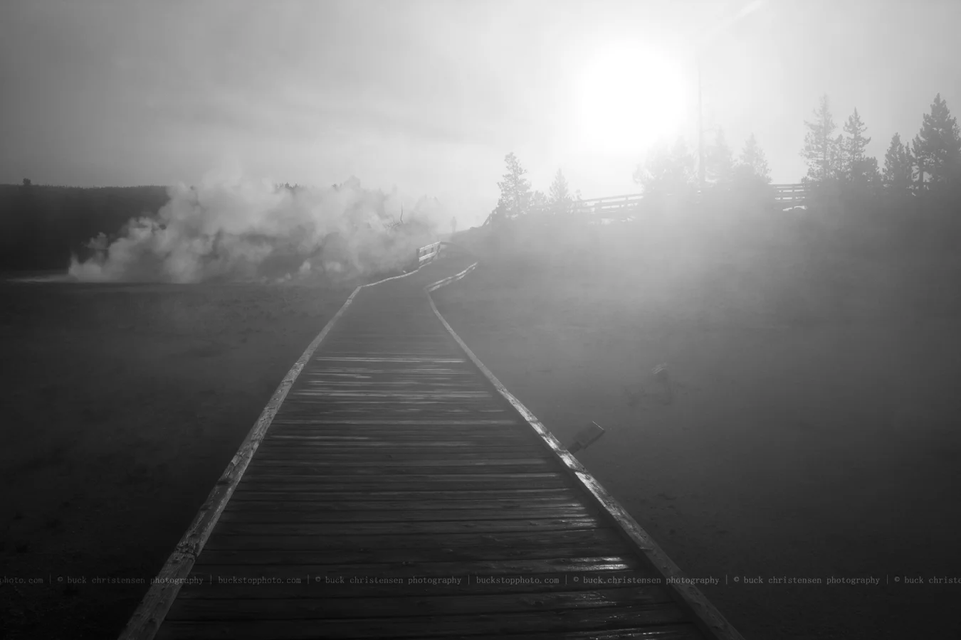 yellowstoneandtetons024
