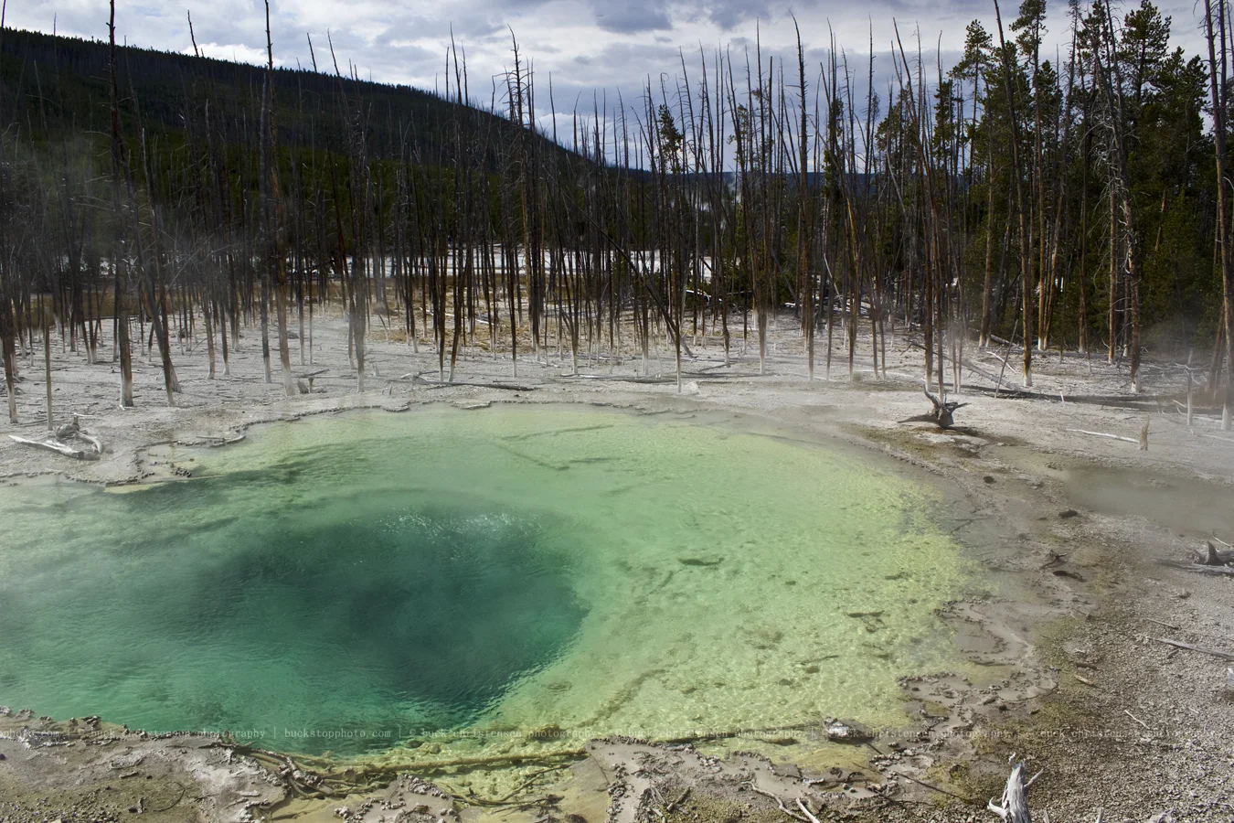 yellowstoneandtetons026