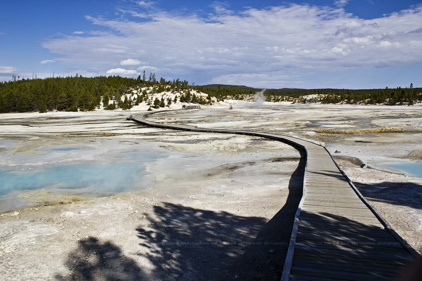 yellowstoneandtetons028