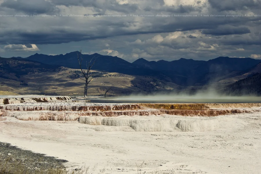 yellowstoneandtetons031