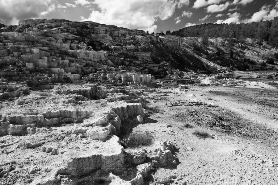 yellowstoneandtetons035