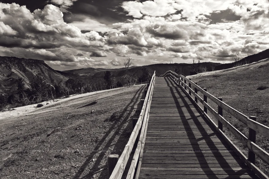 yellowstoneandtetons036