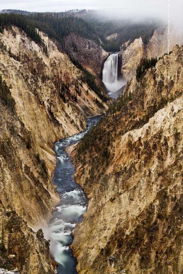 yellowstoneandtetons043