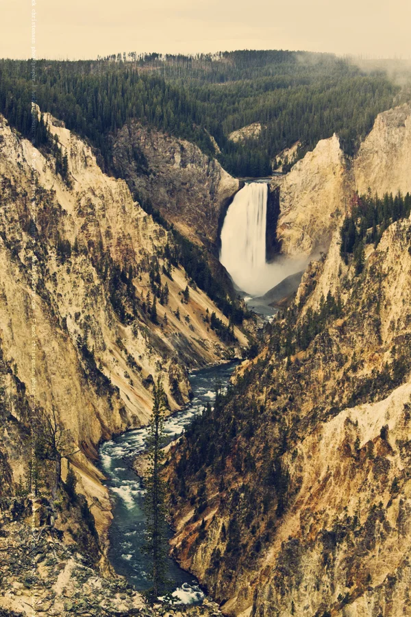 yellowstoneandtetons045