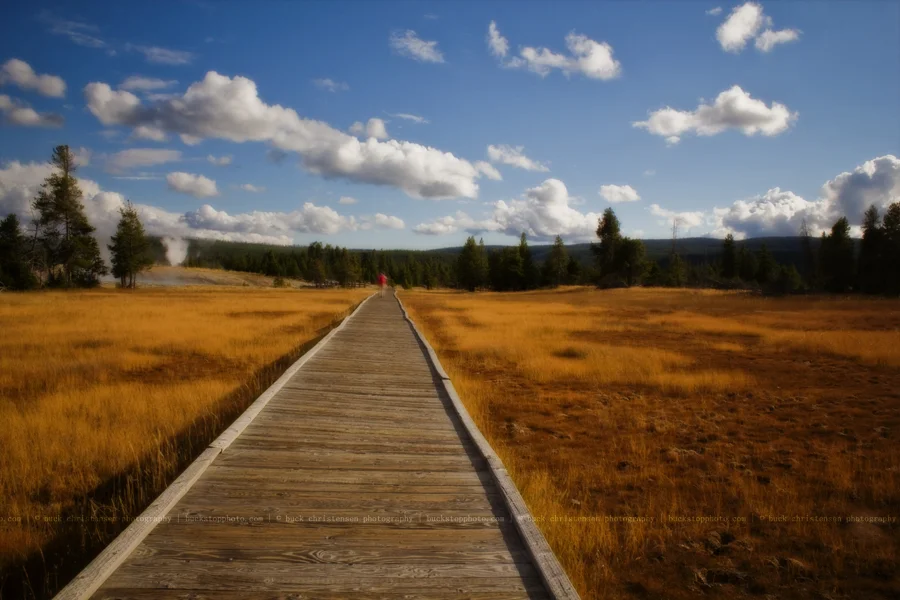yellowstoneandtetons059