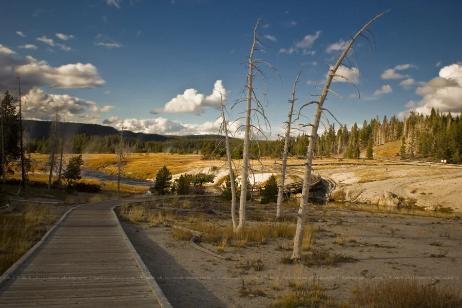 yellowstoneandtetons068
