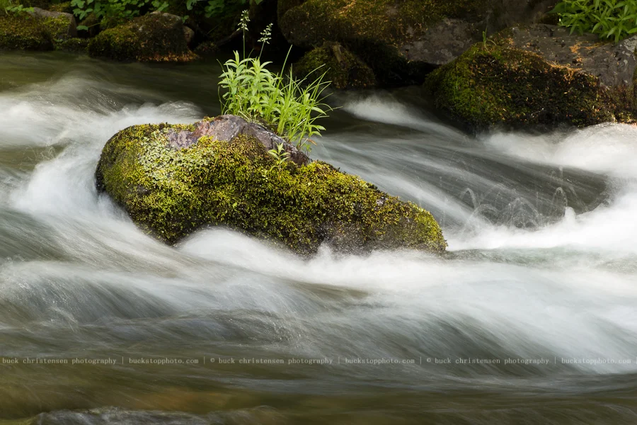 20110820_oregon__MG_2208