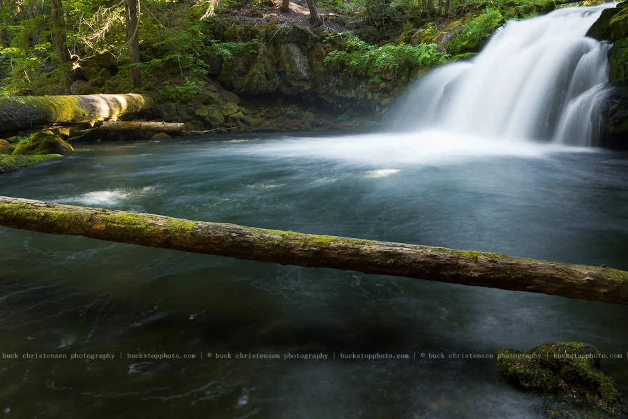 20110821_oregon__MG_2420
