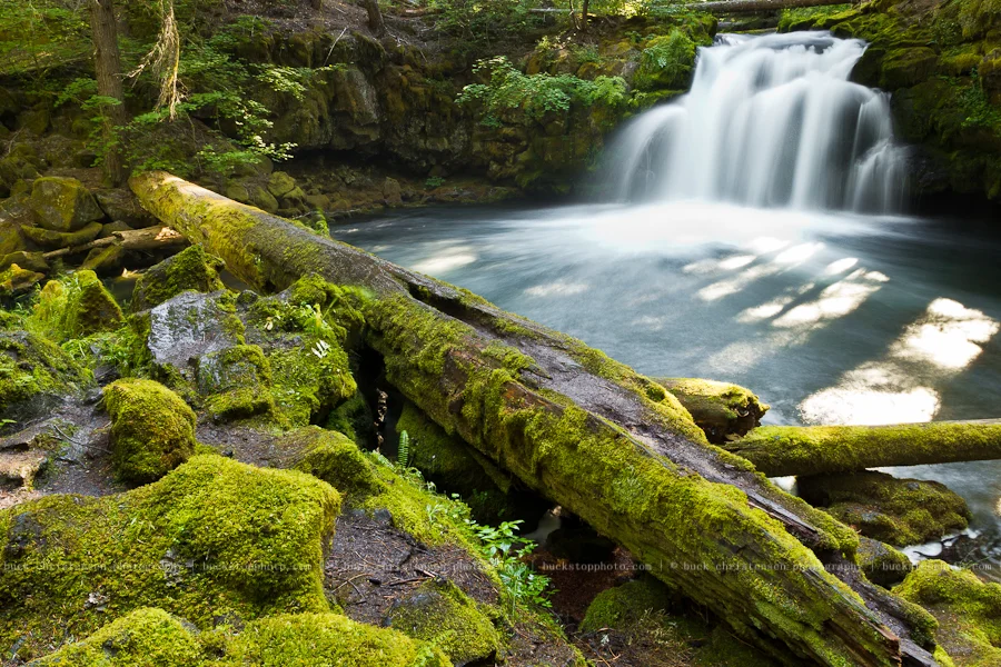20110821_oregon__MG_2428