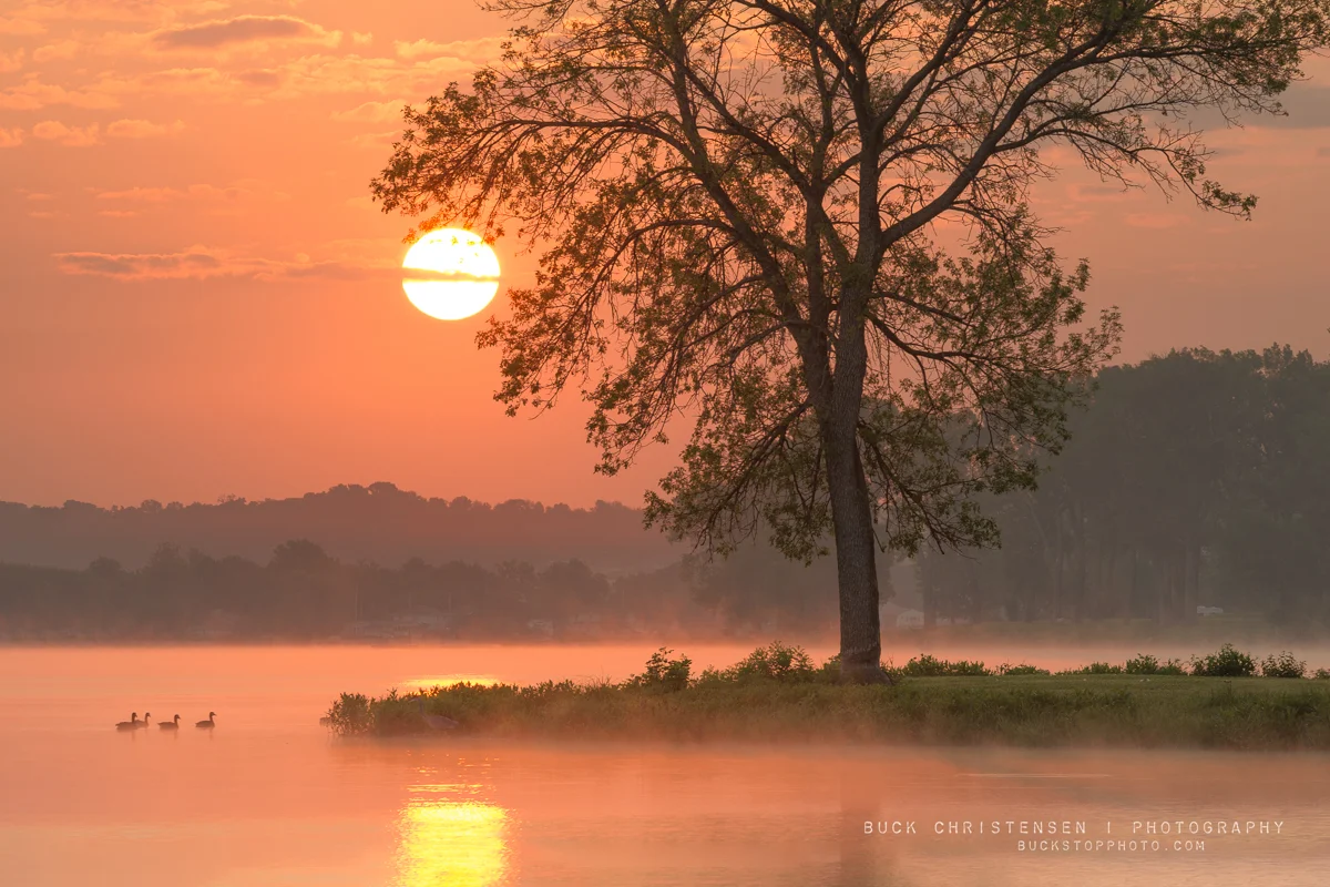 Geese and sunrise at Boy Scout Island, Lake Manawa State Park, Council Bluffs, Iowa: Cue the Drama, Stage Right