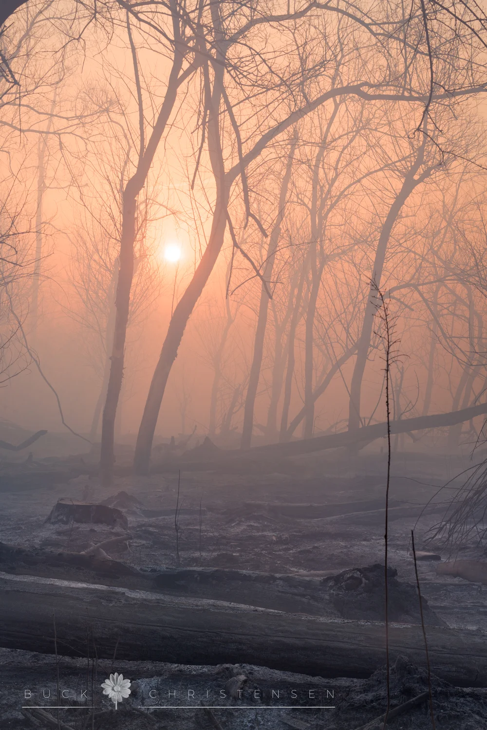 Aftermath of the April 2018 wildfire along the riverfront in Council Bluffs, Iowa, from the Western Historic Trails Center to the Veterans Memorial Bridge.
