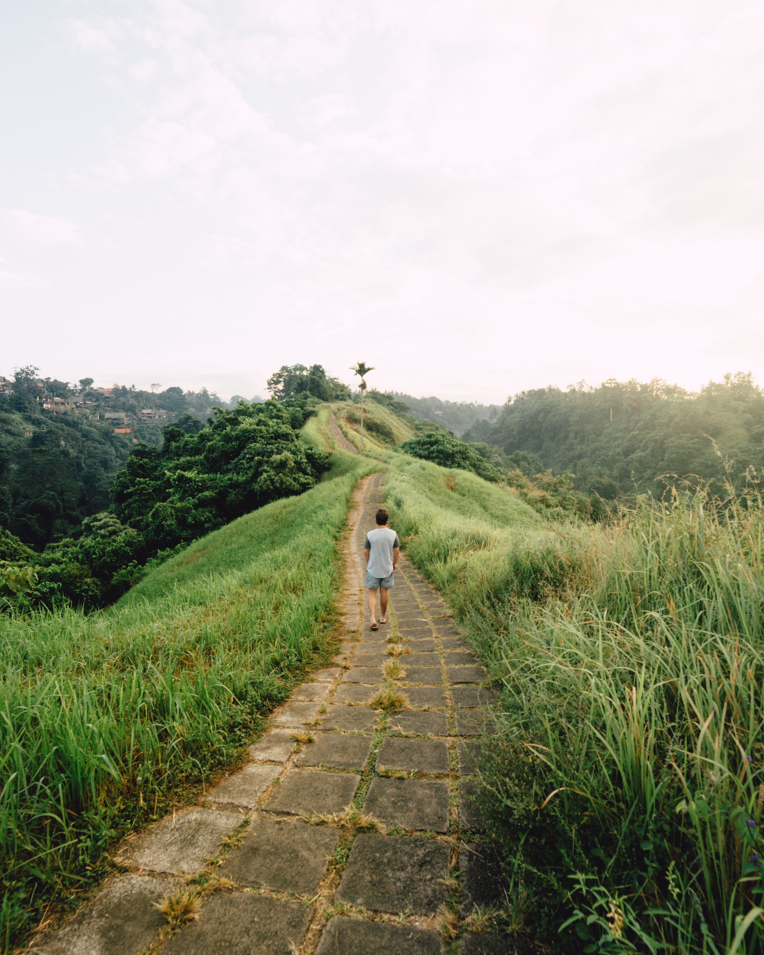 Ubud, Bali-6470.jpg