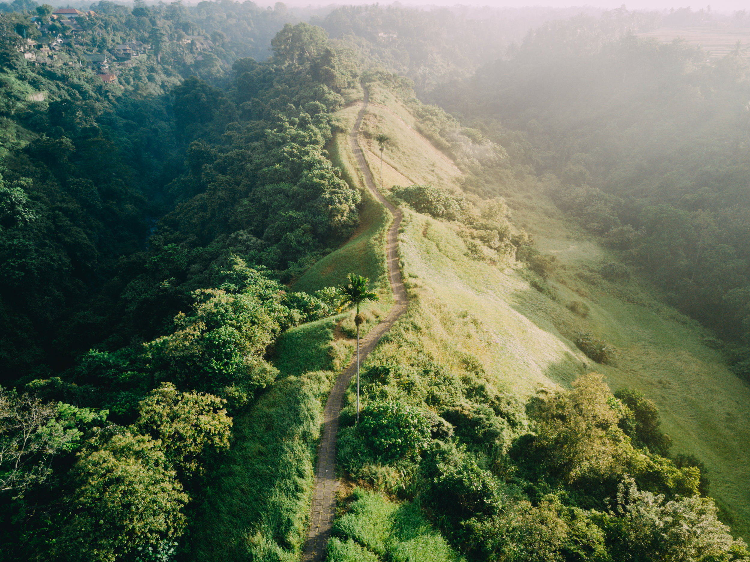Bali Drone-0172.jpg