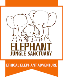 elephants.png