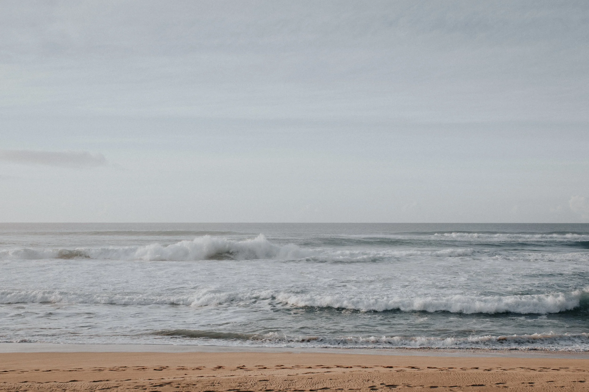 polihale-6523.jpg