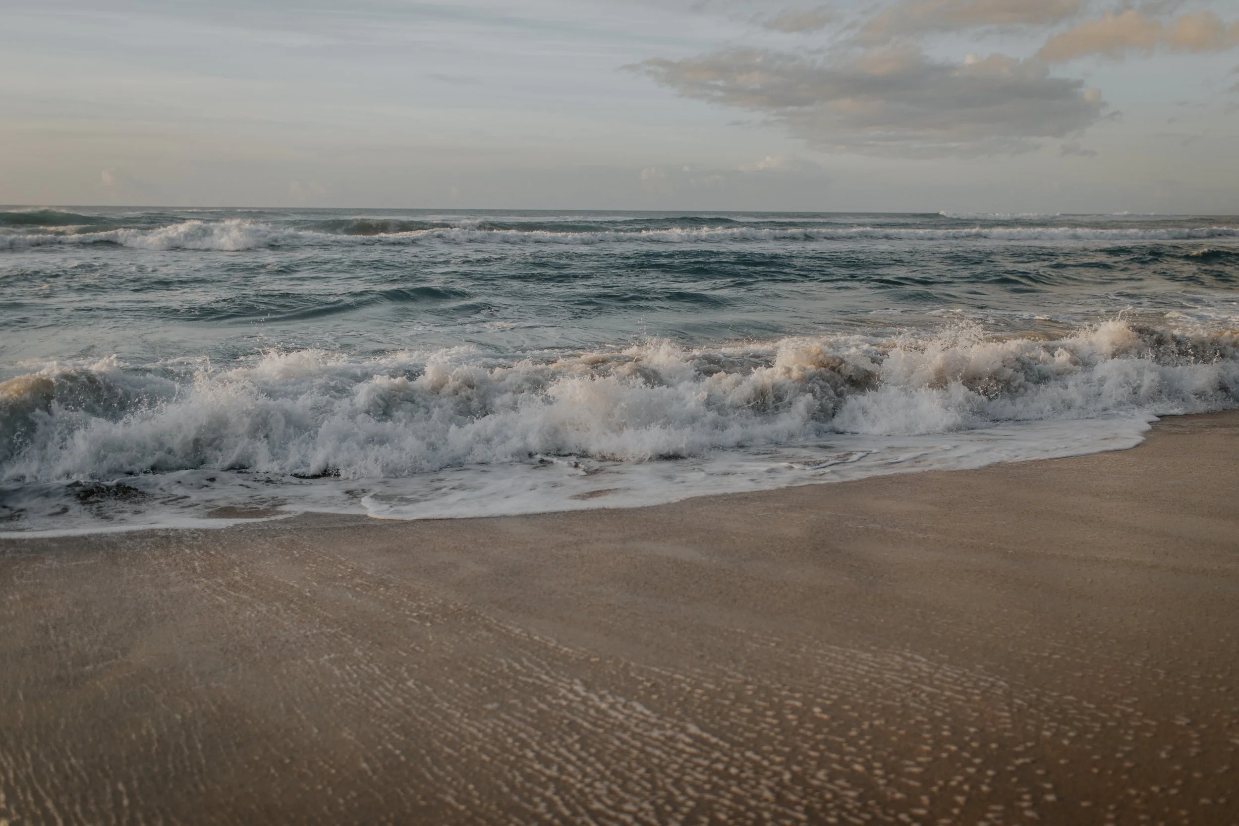 polihale-6848.jpg