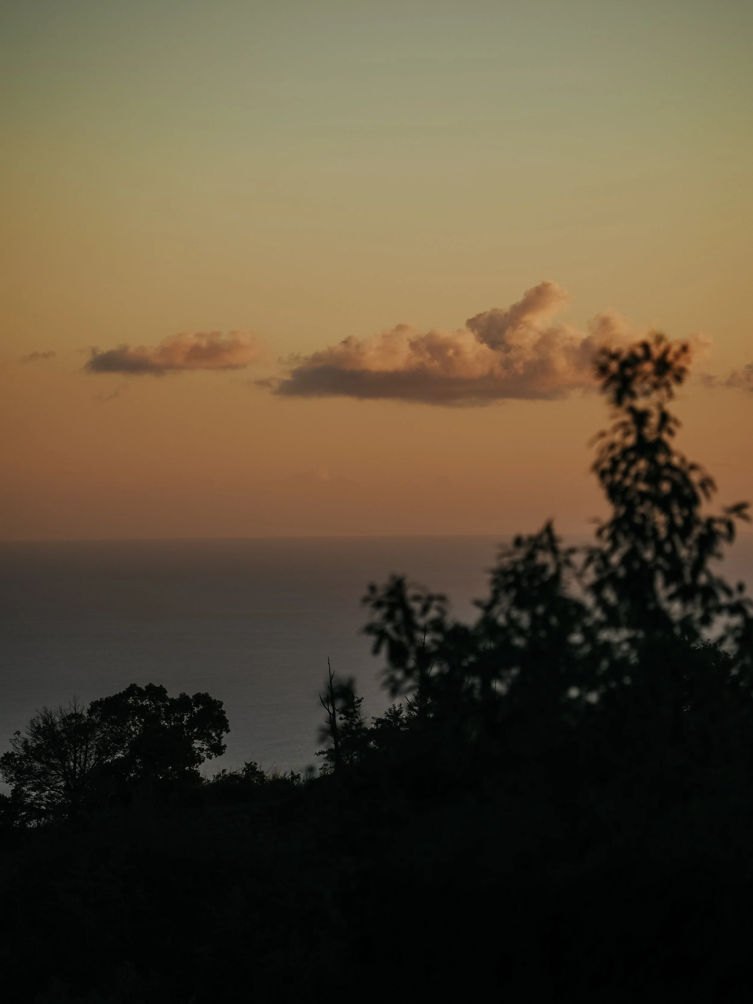 details-2024436.jpg