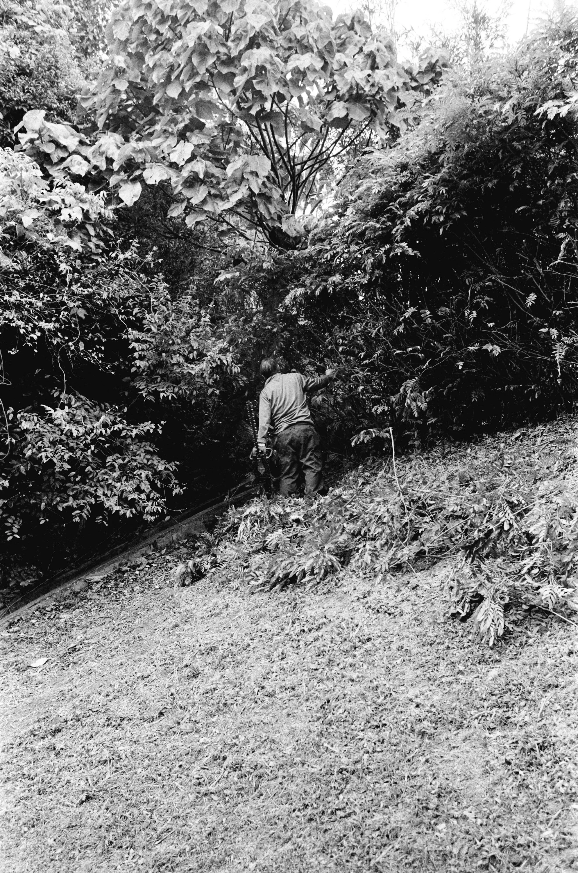 HongKongGarden-8.jpg