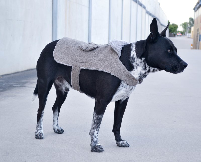 Dog coat sewing pattern review