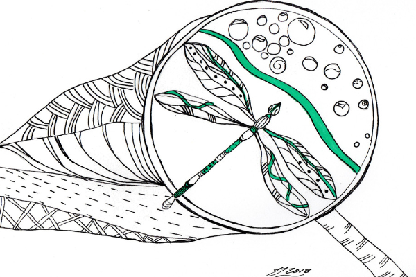 Copy of net.png