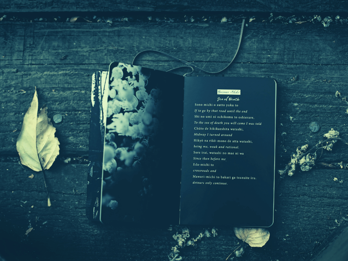 Oneline poems you can find in your reading. Reading, writing, and self