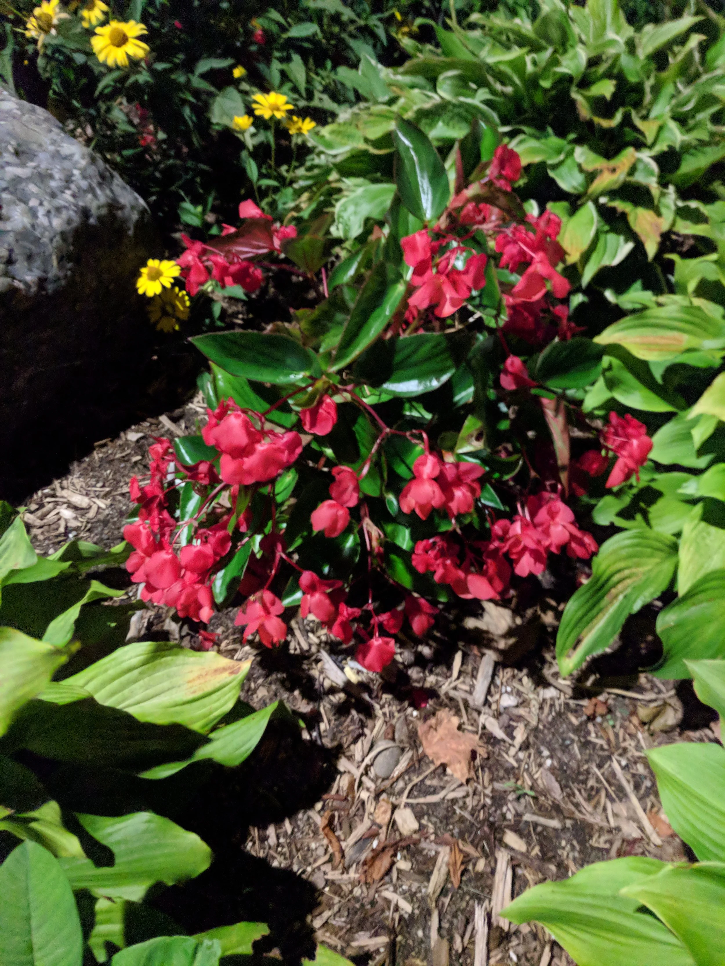 IMG_20180902_215856.jpg