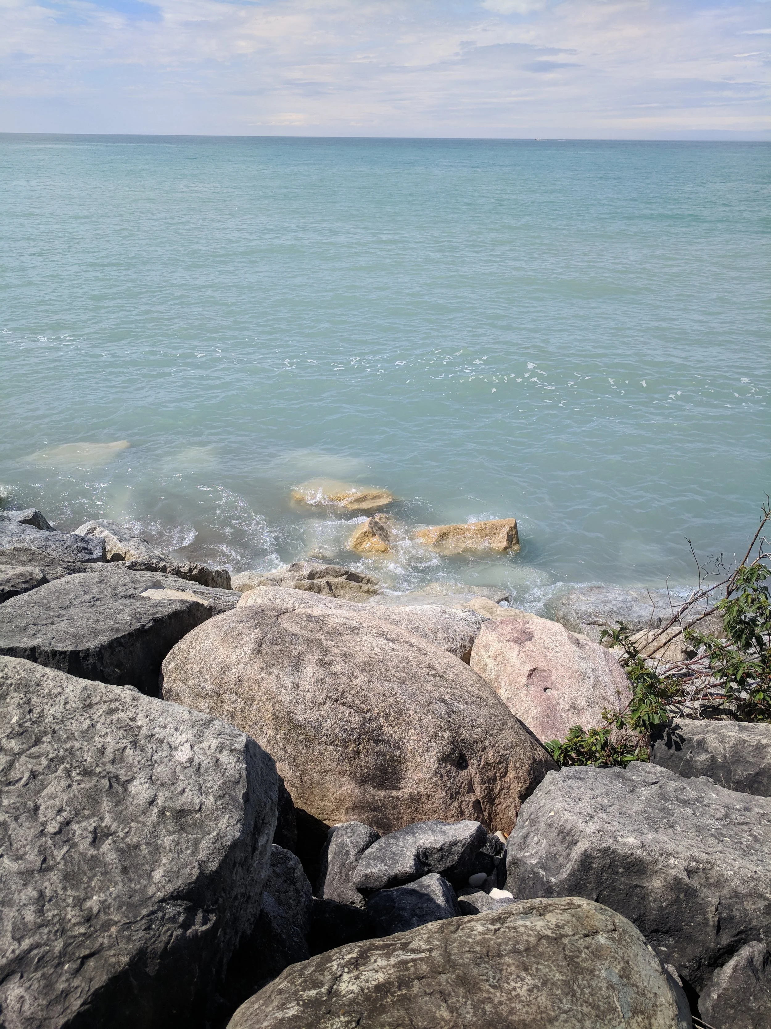 IMG_20180903_123344.jpg