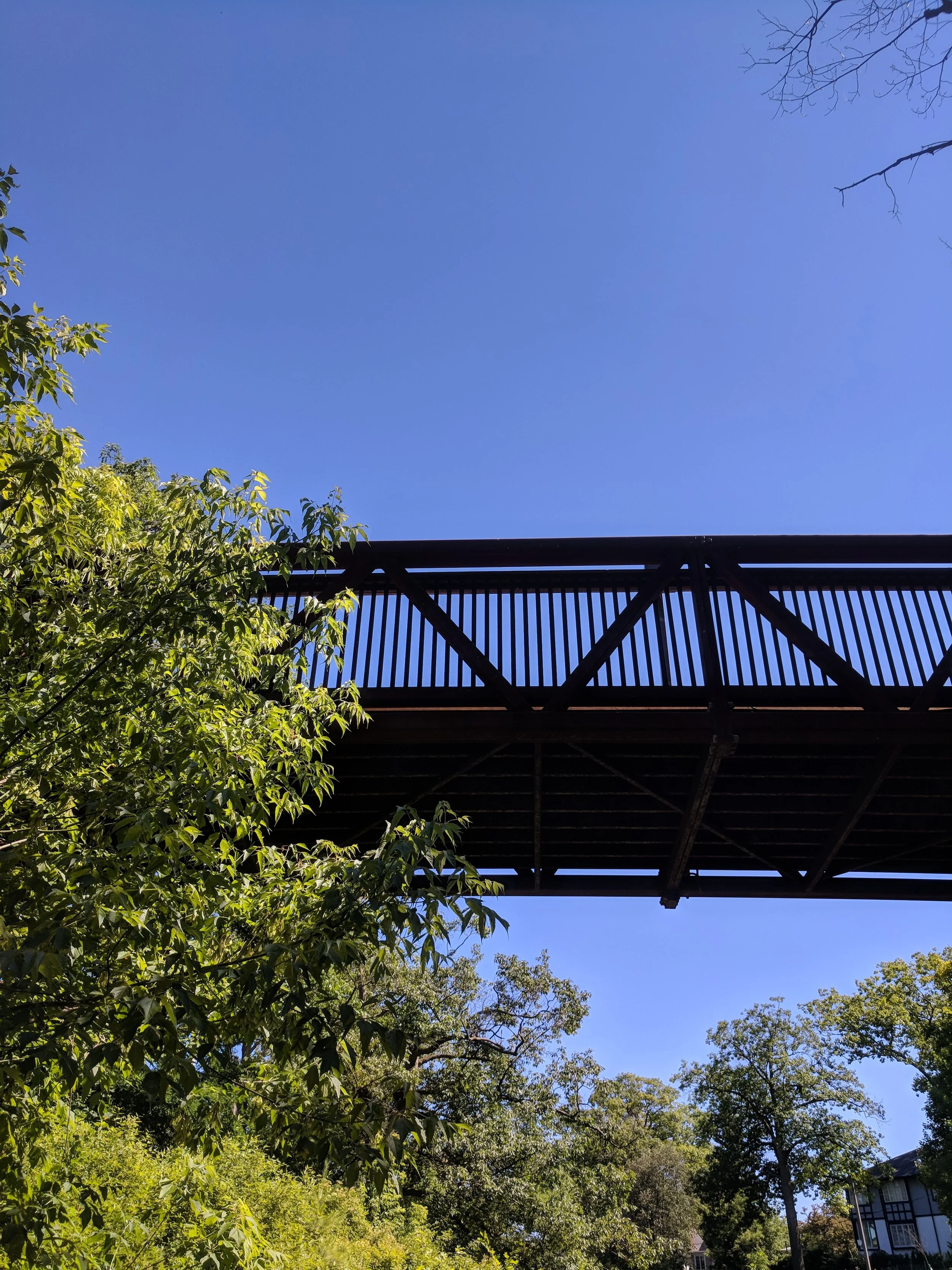 IMG_20180707_160552.jpg