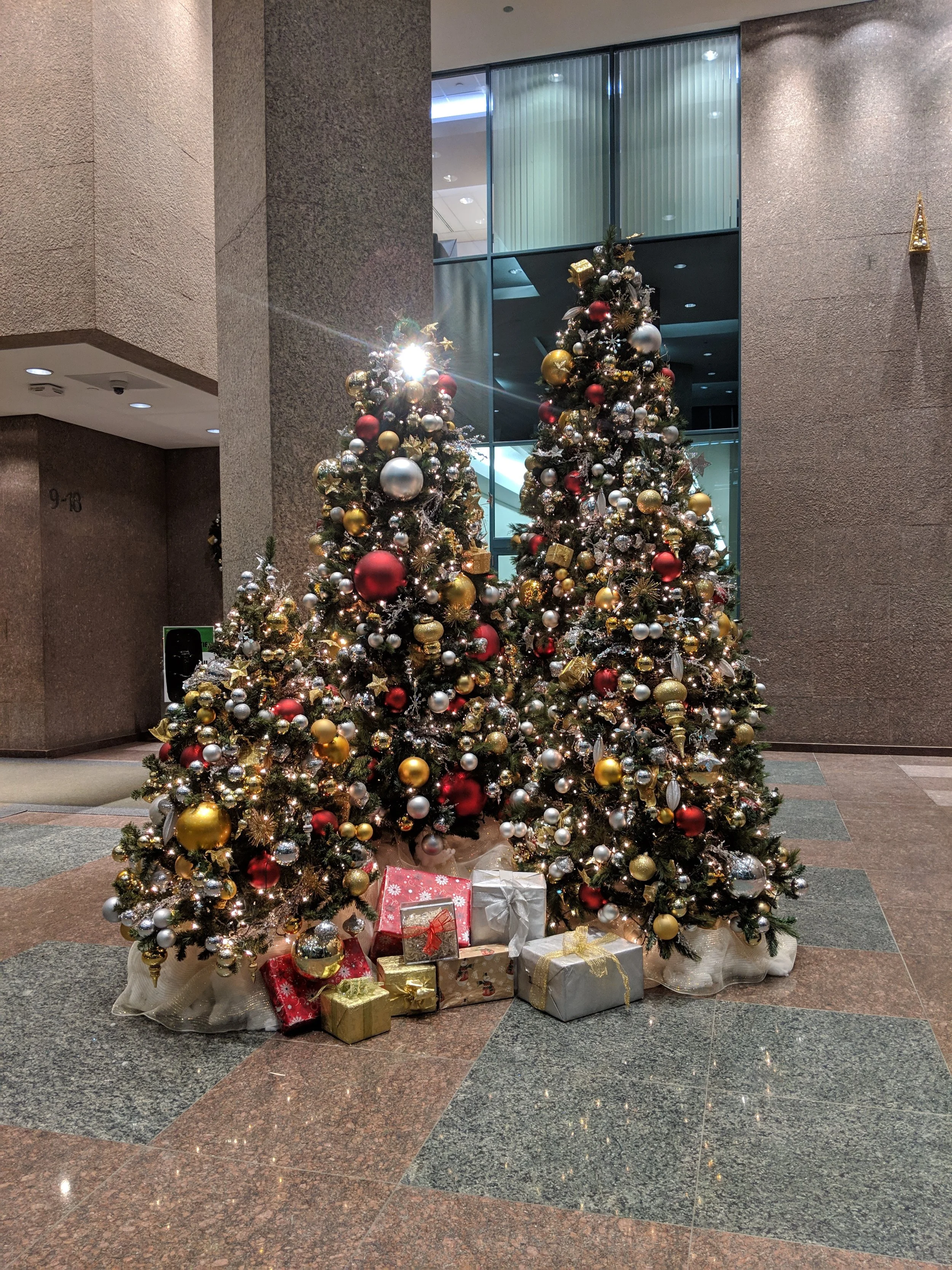 IMG_20181118_001417.jpg