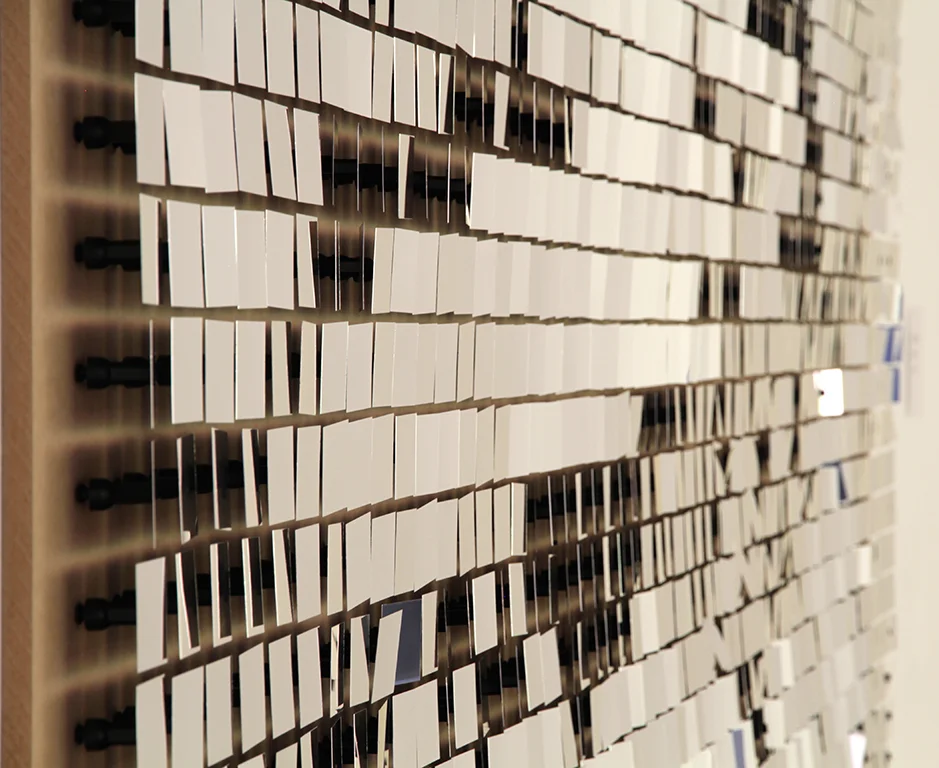 The Reflex (detail)