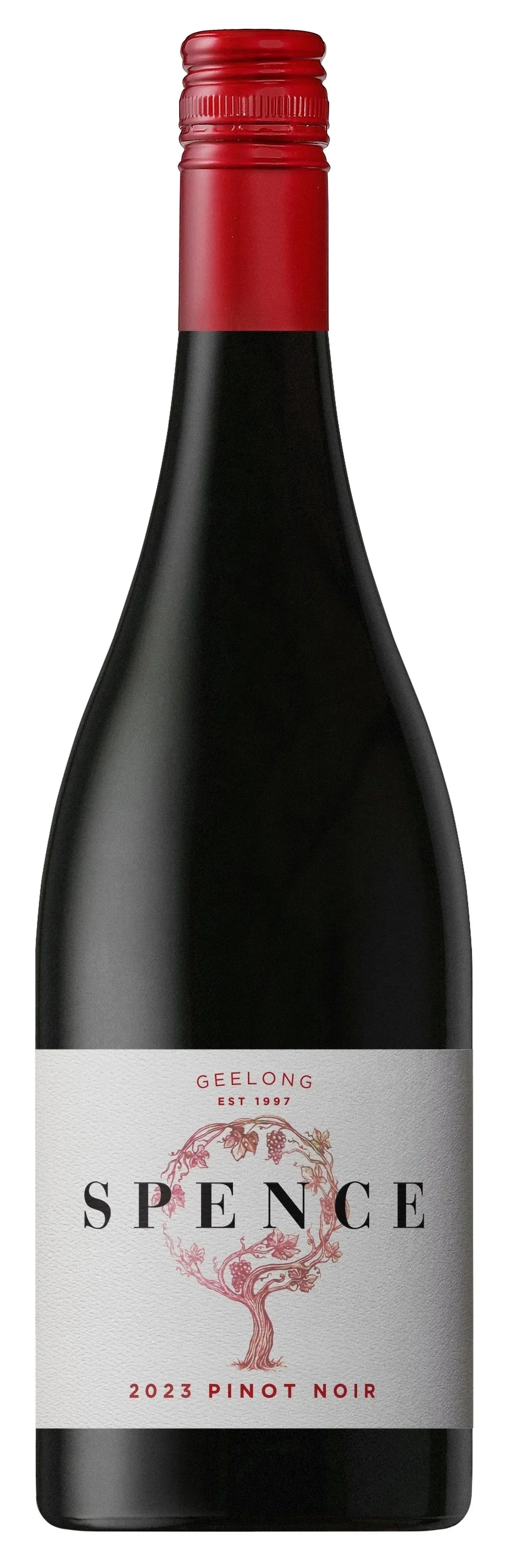pinot_noir_2023.jpg