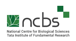 NCBS_logo.png