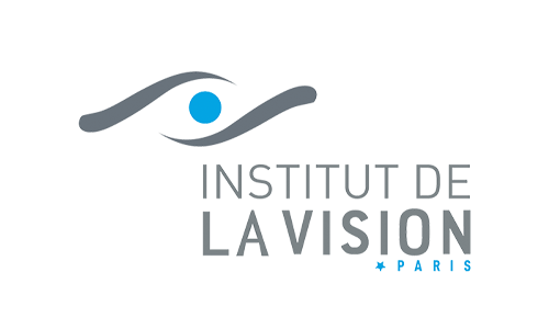 logo_institutdelavision.png