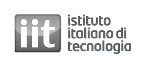 Iit_official_logo.png
